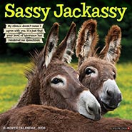 2026 Sassy Jackassy Funny and Inspirational Wall Calendar *NEW!*