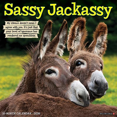 2026 Sassy Jackassy Funny and Inspirational Wall Calendar *NEW!*