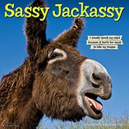 2027 Sassy Jackassy Funny and Inspirational Wall Calendar