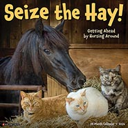 2026 Seize the Hay! Funny and Inspirational Wall Calendar  *NEW!*