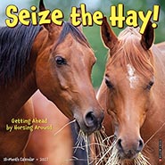 2027 Seize the Hay! Funny and Inspirational Wall Calendar