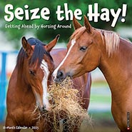 2025 Seize the Hay! Funny and Inspirational Wall Calendar  *SOLD OUT*