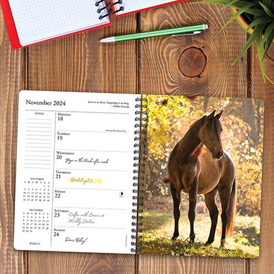 2024 What Horses Teach Us Day Planner / Weekly Engagement Calendar