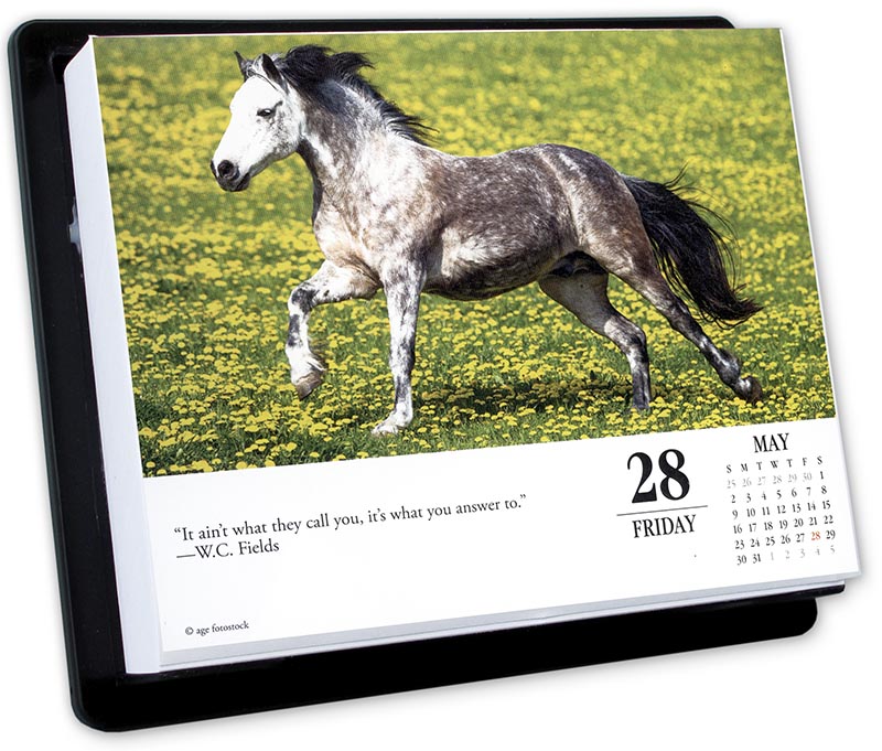 2021 What Horses Teach Us PageADay
