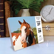 2023 What Horses Teach Us Page-A-Day Calendar *ONLY 5 LEFT!*