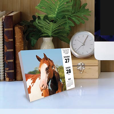 2023 What Horses Teach Us Page-A-Day Calendar *ONLY 5 LEFT!*