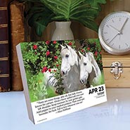 2024 What Horses Teach Us Page-A-Day Calendar