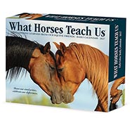 2027 What Horses Teach Us Page-A-Day Calendar
