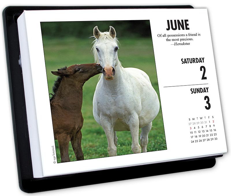 calendar page a day