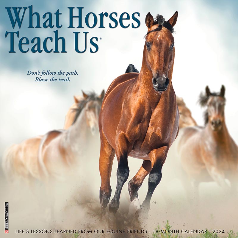 2024 What Horses Teach Us Inspirational Wall