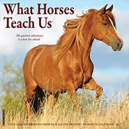 2027 What Horses Teach Us Inspirational Wall Calendar