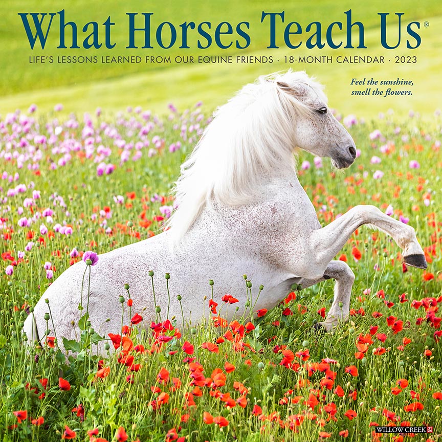 What Horses Teach Us 2023 Wall Calendar *LAST