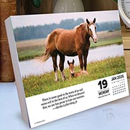 2026 What Horses Teach Us Page-A-Day Calendar *NEW!*