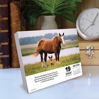 2026 What Horses Teach Us Page-A-Day Calendar *NEW!*