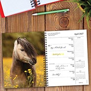 2027 What Horses Teach Us Day Planner / Weekly Engagement Calendar