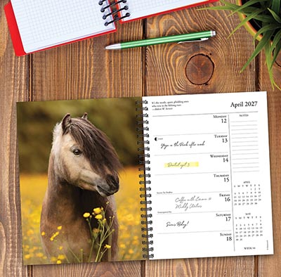 2027 What Horses Teach Us Day Planner / Weekly Engagement Calendar