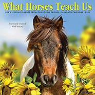 2025 What Horses Teach Us Inspirational Wall Calendar *SOLD OUT*