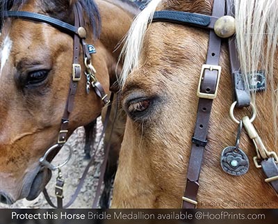 Equestrian Protection Medallions 