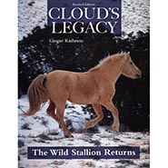 Cloud's Legacy - The Wild Stallion Returns *ONLY 2 AVAILABLE*