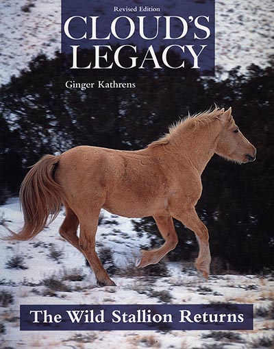 Cloud's Legacy - The Wild Stallion Returns *ONLY 2 AVAILABLE*