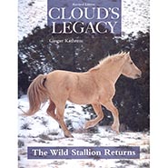 Cloud's Legacy - The Wild Stallion Returns *ONLY 2 AVAILABLE*