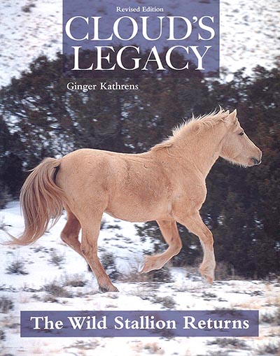Cloud's Legacy - The Wild Stallion Returns *ONLY 2 AVAILABLE*