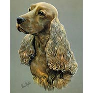 Cocker Spaniel Color Dog Study by Brian Hupfield *ONLY 1 AVAILABLE*