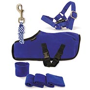Crafty Pony Accessories: Matching Blue Halter, Lead, Blanket and Leg Wraps