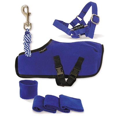 Crafty Pony Accessories: Matching Blue Halter, Lead, Blanket and Leg Wraps
