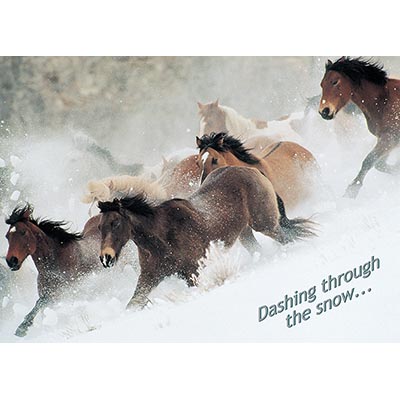 Dashing Through the Snow - FOR BUSINESS *HALF PRICE* $4.98 6 PACKAGES LEFT!