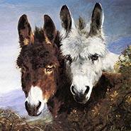 Best of Friends Donkey Print by Lilian Cheviot *VINTAGE ONLY 1 AVAILABLE*
