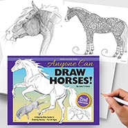 Anyone Can Draw Horses! by June Evers A Step-by-Step Guide to Drawing Horses for all ages *NEW!*