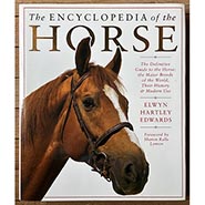 The Encyclopedia of the Horse by Elwyn Hartley Edwards Vintage 1994 edition in perfect condition  Coffee Table Book