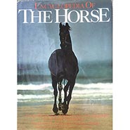 The Encyclopedia of the Horse by Elwyn Hartley Edwards *VINTAGE 1977 ONLY 1 AVAILABLE*
