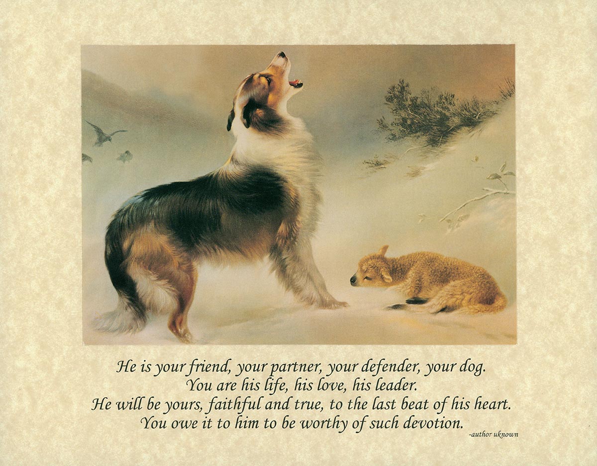 found dog lamb 8x10 print with verse on parchment www hoofprints com pictures of dogs that you can print