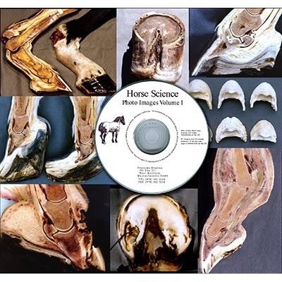 Hoof Images Photo CD