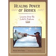 Healing Power of Horses: Lessons from the Lakota Indians *SALE LIMITED AVAILABILITY*