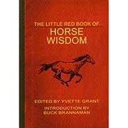 Spiritual And Christian Horse Books Www Hoofprints Com