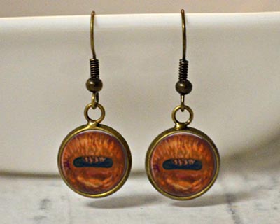 Glass Dome Horse Eye Earrings