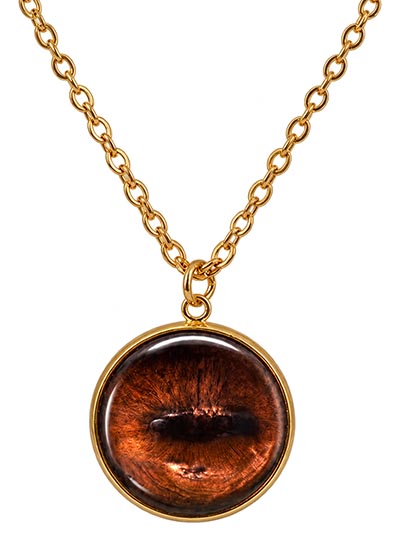 Glass Dome Horse Eye Jewelry