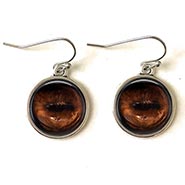 Glass Dome Horse Eye Earrings
