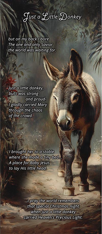 Just a Little Donkey Desert Oasis Scene - Pkg of 10 Greeting Cards NEW!