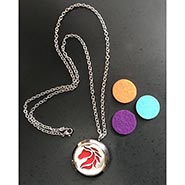Horse Head Aromatherapy Locket Necklace