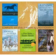 Set of 5 Linda Kohanov Books