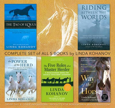 Set of 5 Linda Kohanov Books