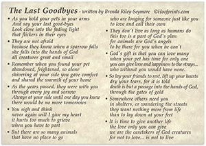 The Last Goodbyes