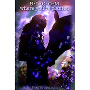 Bloom Where You're Planted Inspirational Magnet *NO LONGER AVAILABLE*