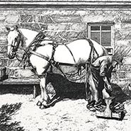 Farrier Pen and Ink Signed and Numbered Print by Gene Matras *ONLY 1 AVAILABLE*