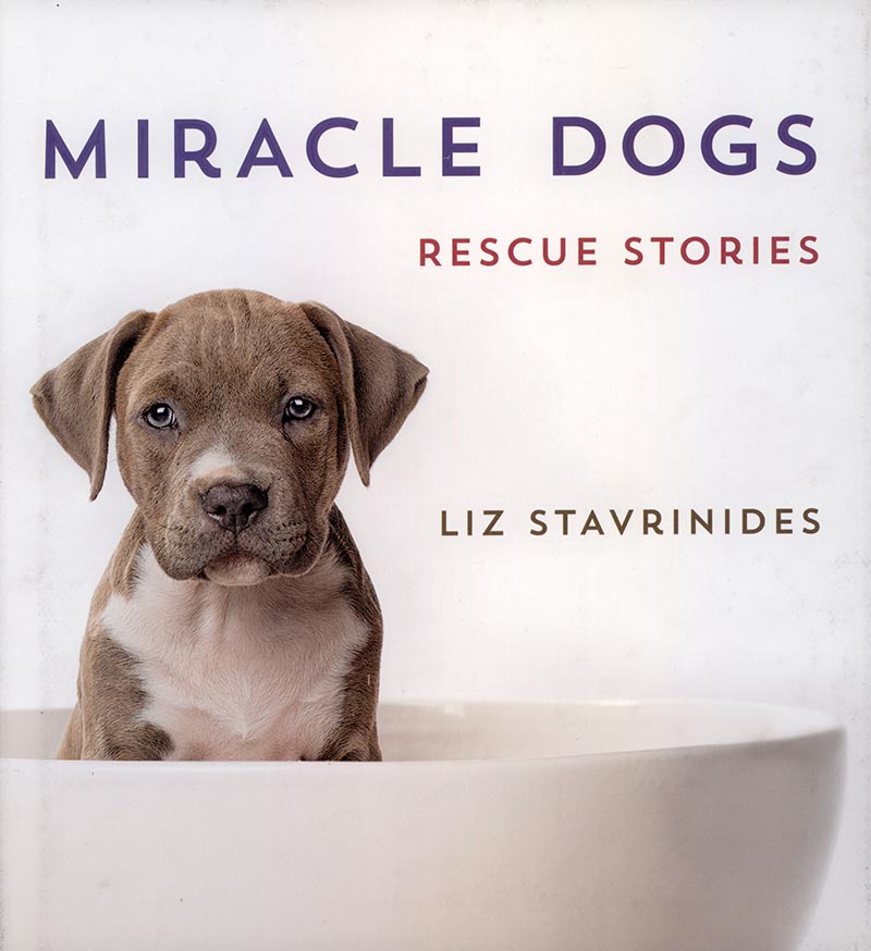 Miracle Dogs Rescue Stories *ONLY ONE