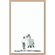 Please Do Not Expect A Miracle Farrier's Note Pad